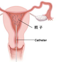 大川産婦人科・高砂